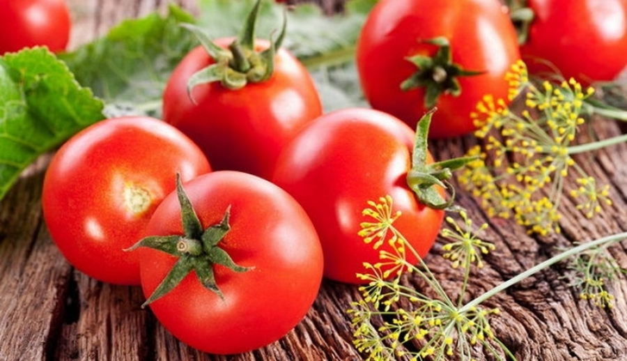 Pomidor - król warzyw